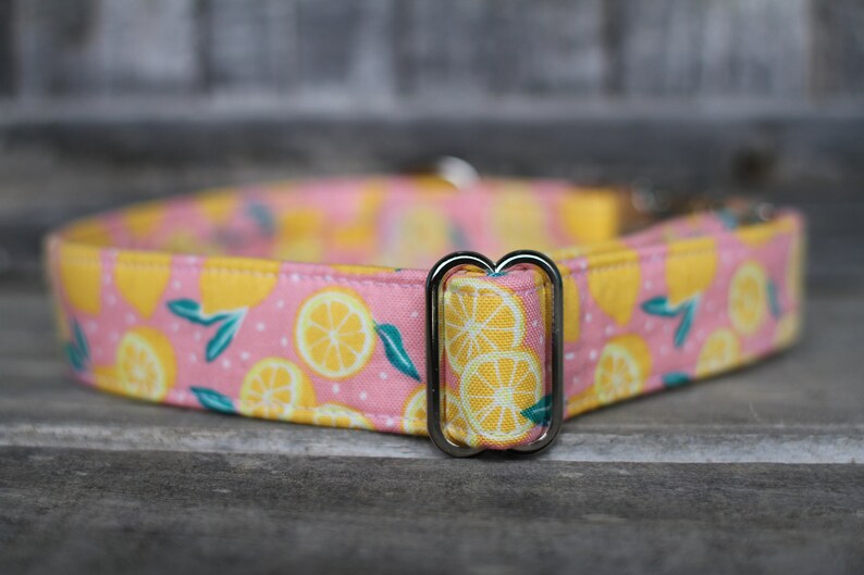 Lemon Dog Collar Summer Dog Collar Female Dog Collar Pink Etsy