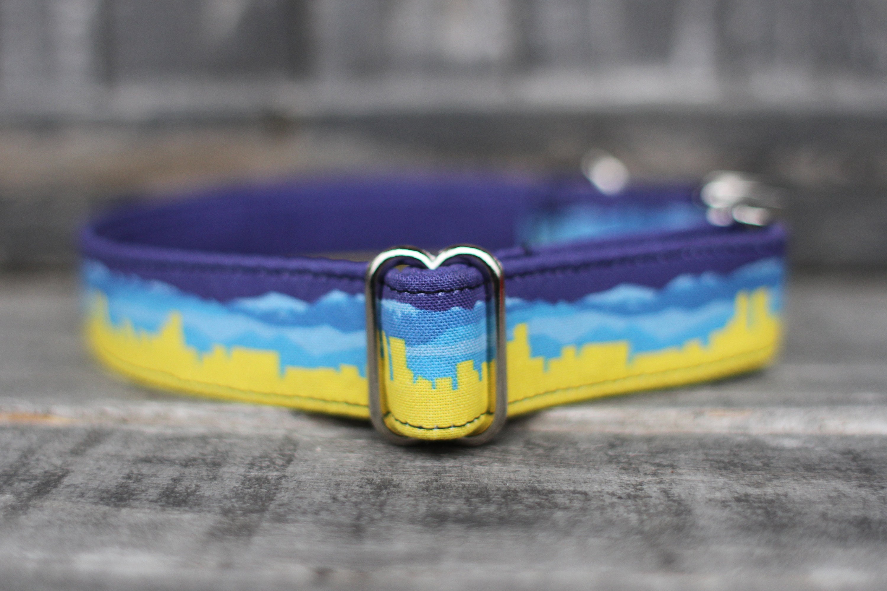 Denver Dog Collar Colorado Dog Collar Mountain Dog Collar Etsy