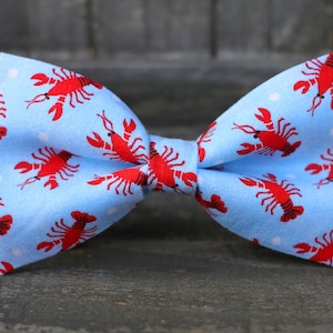 Hummer Fliege | Jungen Fliege | Herren Fliege | für Ihn | Fliege | Hundefliege | Herren Fliege | Kleinkind Fliege | Hochzeit Bow Men