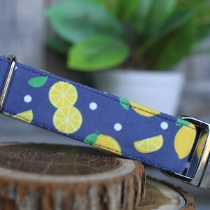 Lemon Dog Collar, Summer Collar, Male Dog Collar, Navy Dog Collar, Female Dog Collar, Pet Collar, Large Dog Collar, Small Dog Collar