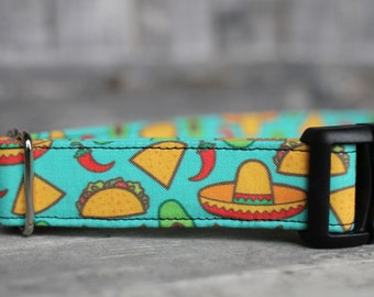 Collar para perro Cinco de Mayo, collar para perro Taco, collar para mascota de verano, collar para perro macho, collar para perro hembra, collar para perro grande, collar para perro pequeño