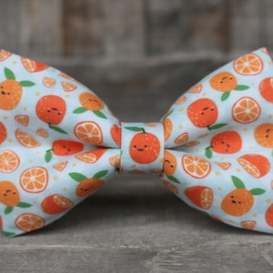 Orangen Fliege | Sommer Fliege | Kleinkind Fliege | für Ihn | Fliege | Hundefliege | Herren Fliege | Jungen Fliege | Hochzeit Bow Men