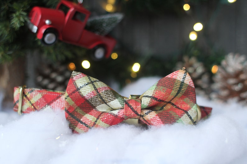 May include: A red and green plaid bow tie with a gold buckle. The bow tie is on a white fluffy surface.