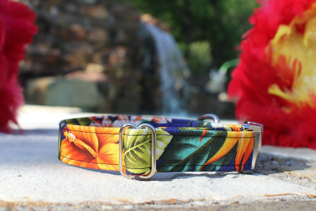 Hawaiian Dog Collar Summer Dog Collar Floral Dog Collar Etsy