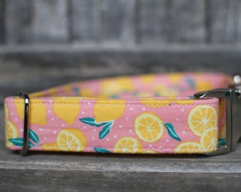 Dog collar two-toned fabric with Aluminum Alloy Buckle Spring summer Small Medium and Large Cat Kitty Athena X-Small, PINk Puppy adjustable dog//pet collar