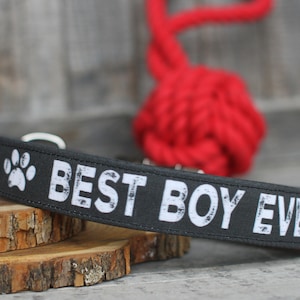 Boy dog collars etsy hot sale
