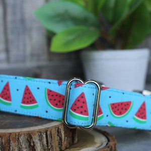 Watermelon Dog Collar, Summer Collar, Male Dog Collar, Female Dog Collar, Novelty Dog Collar, Large Dog Collar, Small Dog Collar