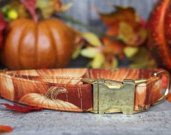 Pumpkin Dog Collar, Autumn Pet Collar, Fall Dog Collar, Female Dog Collar, Male Dog Collar, Small Dog Collar, Large Dog