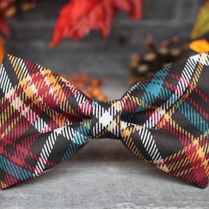 Pajarita de otoño / Pajarita de otoño / Pajarita de cuadros / Pajarita de niño / Pajarita de niño pequeño / Pajarita / Pajarita de perro / Pajarita de hombre / Pajarita de boda para hombre