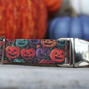 Pumpkin Dog Collar, Autumn Dog Collar, Fall Dog Collar, Female Dog Collar, Male Dog Collar, Small Dog Collar, Large Dog Collar