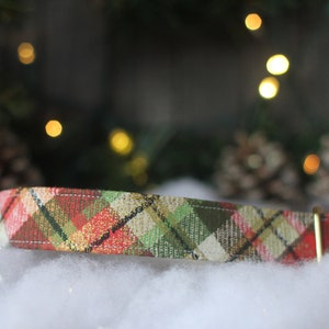 May include: A red, green, and gold plaid dog collar with a gold metal buckle.
