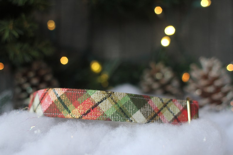 May include: A red, green, and gold plaid dog collar with a gold metal buckle.