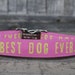 see more listings in the Dog Collars section