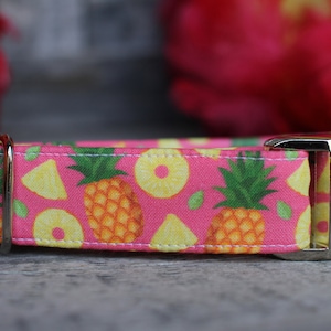 Pineapple Collar | Dog Collar | Female Dog Collar | Pink Dog Collar | Novelty Dog Collar | Pet Collar | Large Dog Collar | Small Dog Collar