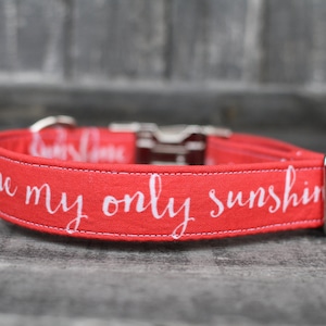 You Are My Sunshine Collar | Dog Collar | Male Dog Collar | Female Dog Collar |  Pet Collar | Large Dog Collar | Small Dog Collar