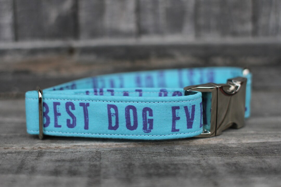 Best Dog Ever Collar Male Dog Collar Blue Dog Collar Boy Etsy Sweden