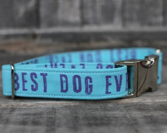 Best Dog Ever Collar | Male Dog Collar | Blue Dog Collar | Boy Dog Collar | Pet Collar | Large Dog Collar | Small Dog Collar