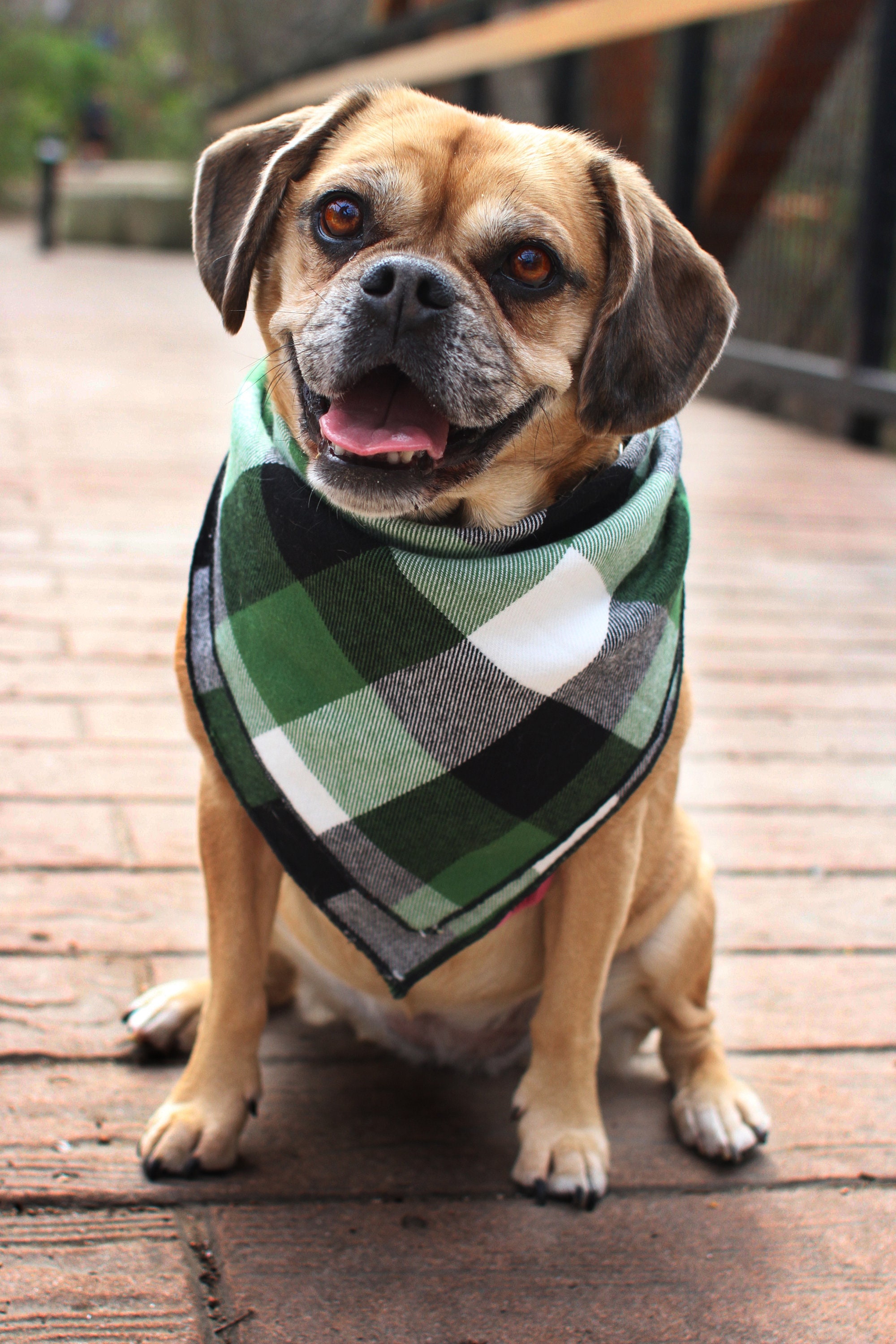 Green plaid bandana 2025