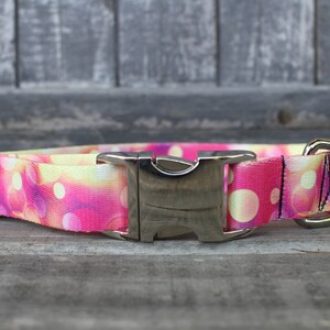 May include: A pink and yellow dog collar with a silver buckle and a silver D-ring. The collar has a pattern of white circles on a pink and yellow background.