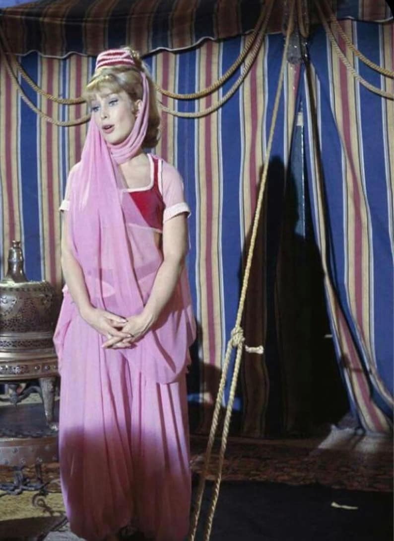 I Dream of Jeannie Adult Costume Jeannie Halloween Costume - Etsy