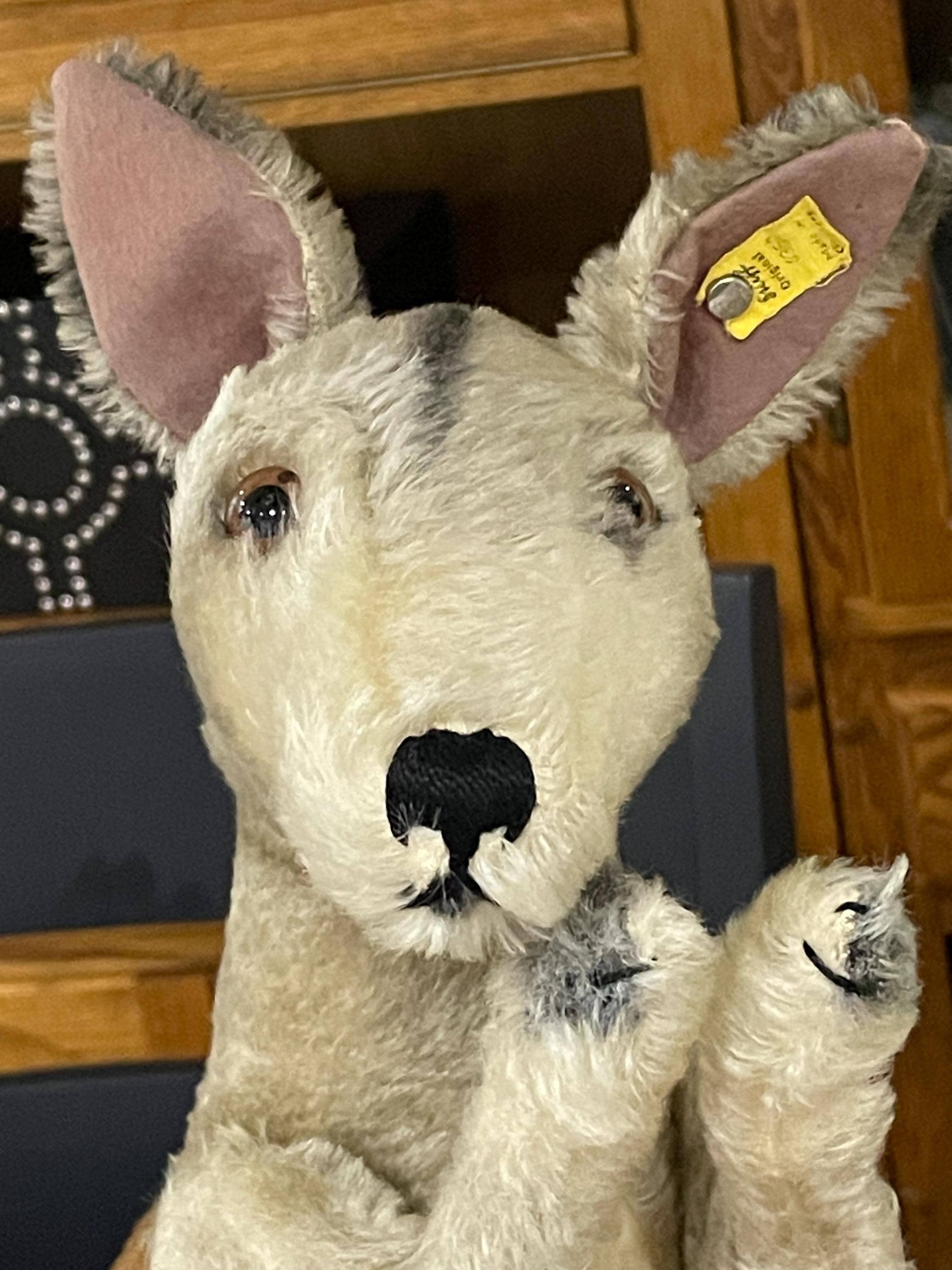 Vintage Large Steiff - Etsy