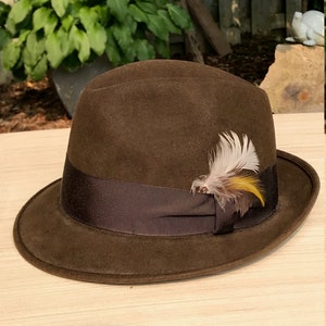 May include: A brown felt fedora hat with a brown ribbon and a small feather accent.
