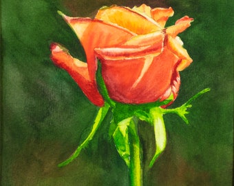 Pintura original - "Rosa iluminada por el sol" - Acuarela de una rosa soleada