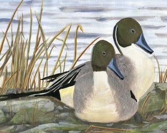 Original Painting - "Two Pintails" - Wild Duck Casein Painting