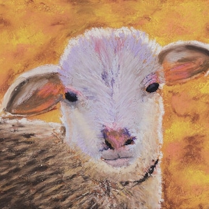 Original Painting - Lamb Soft Pastel Painting