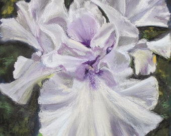 Pintura original - "Iris blanco" - Pintura al pastel suave de iris
