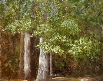 Pintura original - "Estudio de árbol - Reserva Kickerillo-Mischer" - Pintura al óleo al aire libre en un parque de Texas