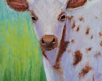Original Painting - "Dotty" - Longhorn Calf Soft Pastel Painting