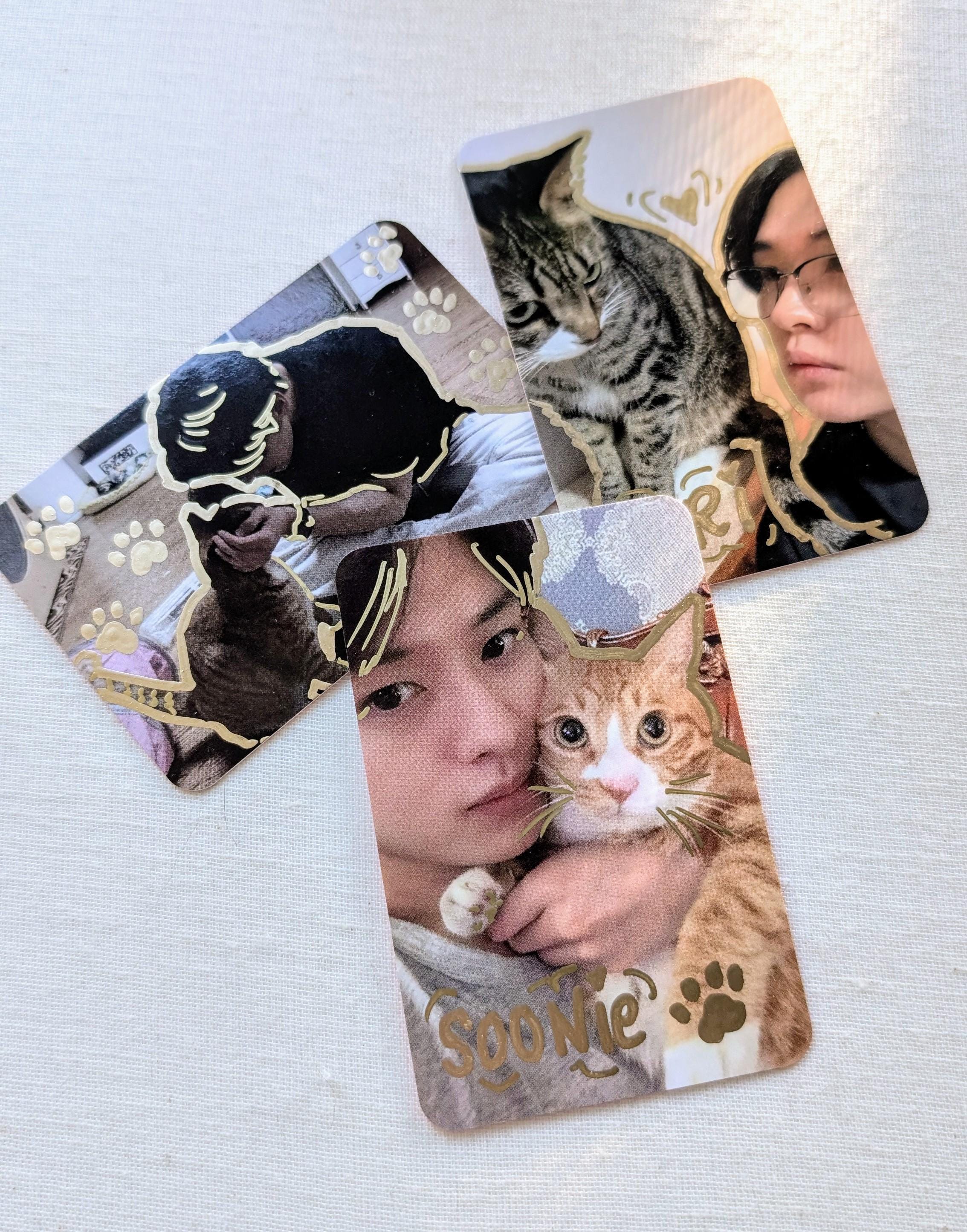 Lee Know With Cats - Stray Kids Custom Doodle Lomo Photo Cards
