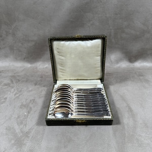ZELDZAME Set van 12 FRIONNET FRANCOIS kleine lepels in verzilverd metaal met lintversiering in een etui Made in France