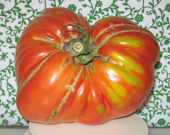 Bezrazmernyi Heirloom Giant Tomato Seeds