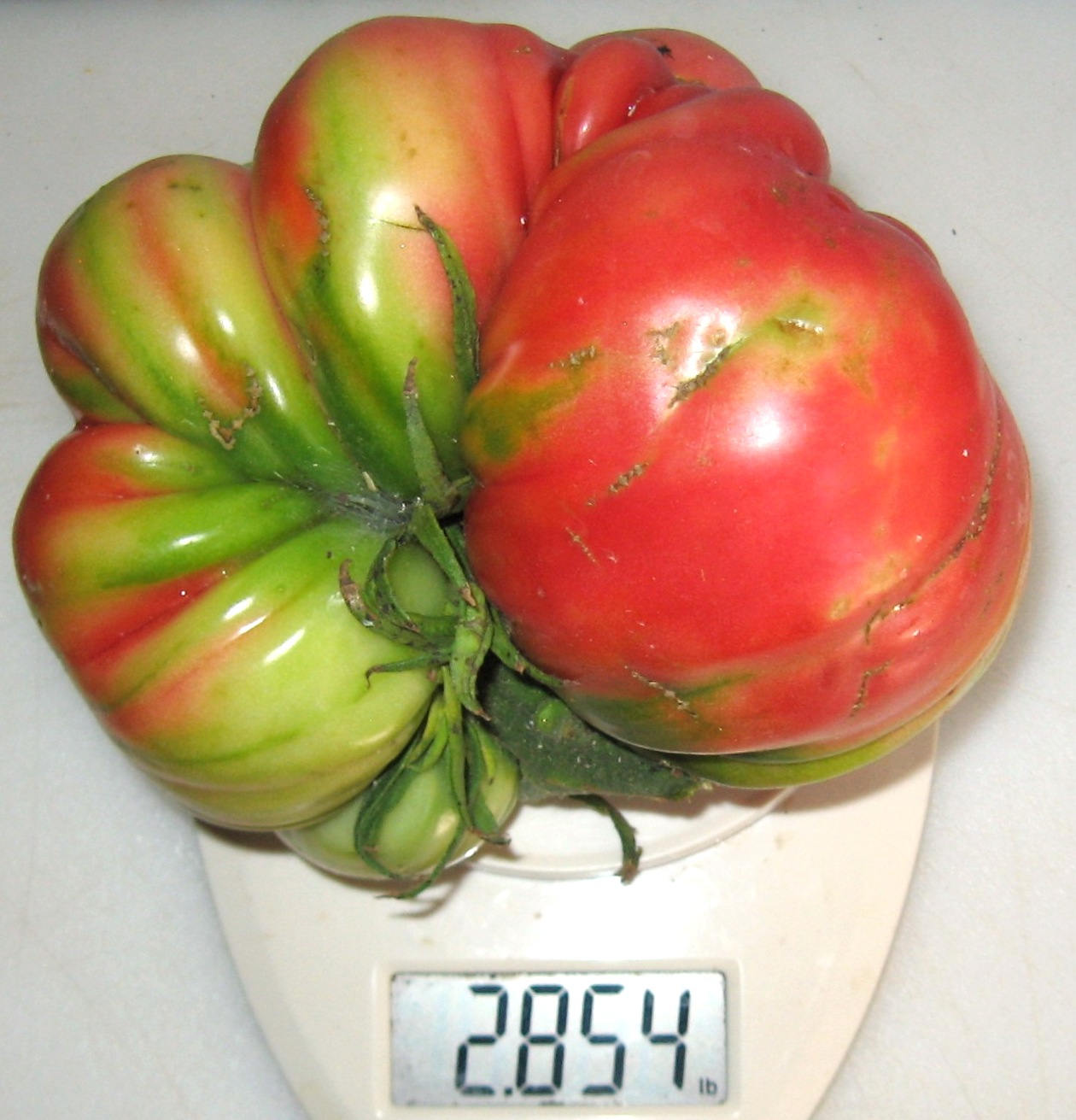 Epstein's Potato Leaf Heirloom Tomato Seeds Etsy