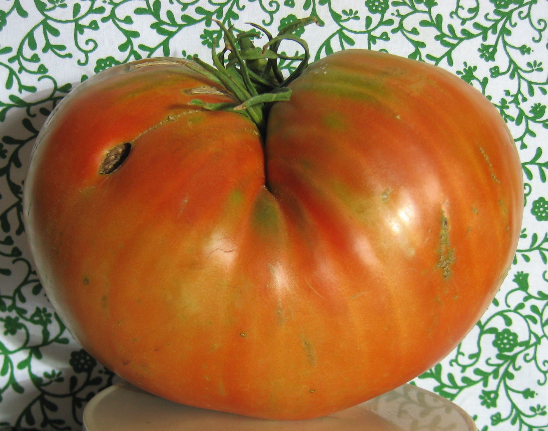 Donskoi Heirloom Giant Tomato Seeds - Etsy