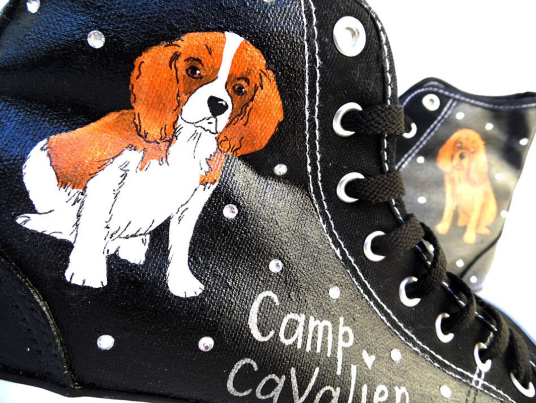 Dog top sneakers converse