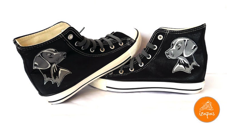 dog converse booties