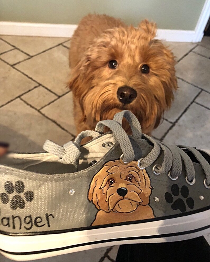 Goldendoodle Sneakers, gepersonaliseerde canvas hondenschoenen, Golden Doodle, aangepaste converse, hondenschoenen, lage trainers, huisdierportret afbeelding 2