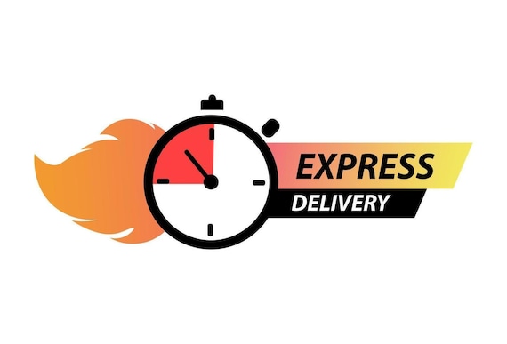 Express shipping with DHL or FedEx