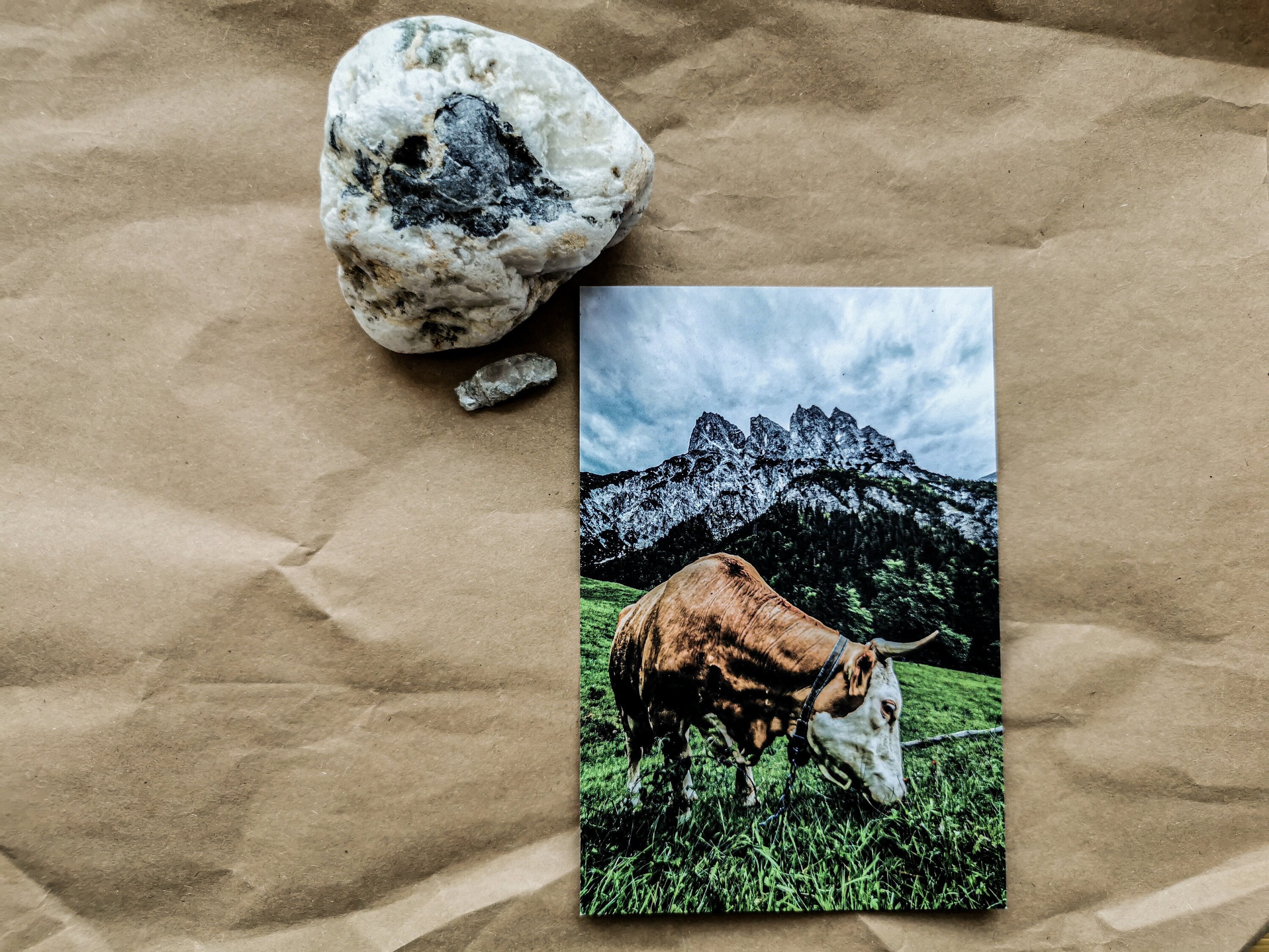 Cow on the pasture Mühlsturzhörner - Alps Bavaria Ramsau Berchtesgaden farmer card postcard picture panorama photo print alpine pasture gift mural
