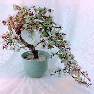 HUGE Mid Century Jade Bonsai Tree Sculpture ~ Carved Agate Gemstone Flowers ~ Celadon Ceramic Pot ~ Must Read