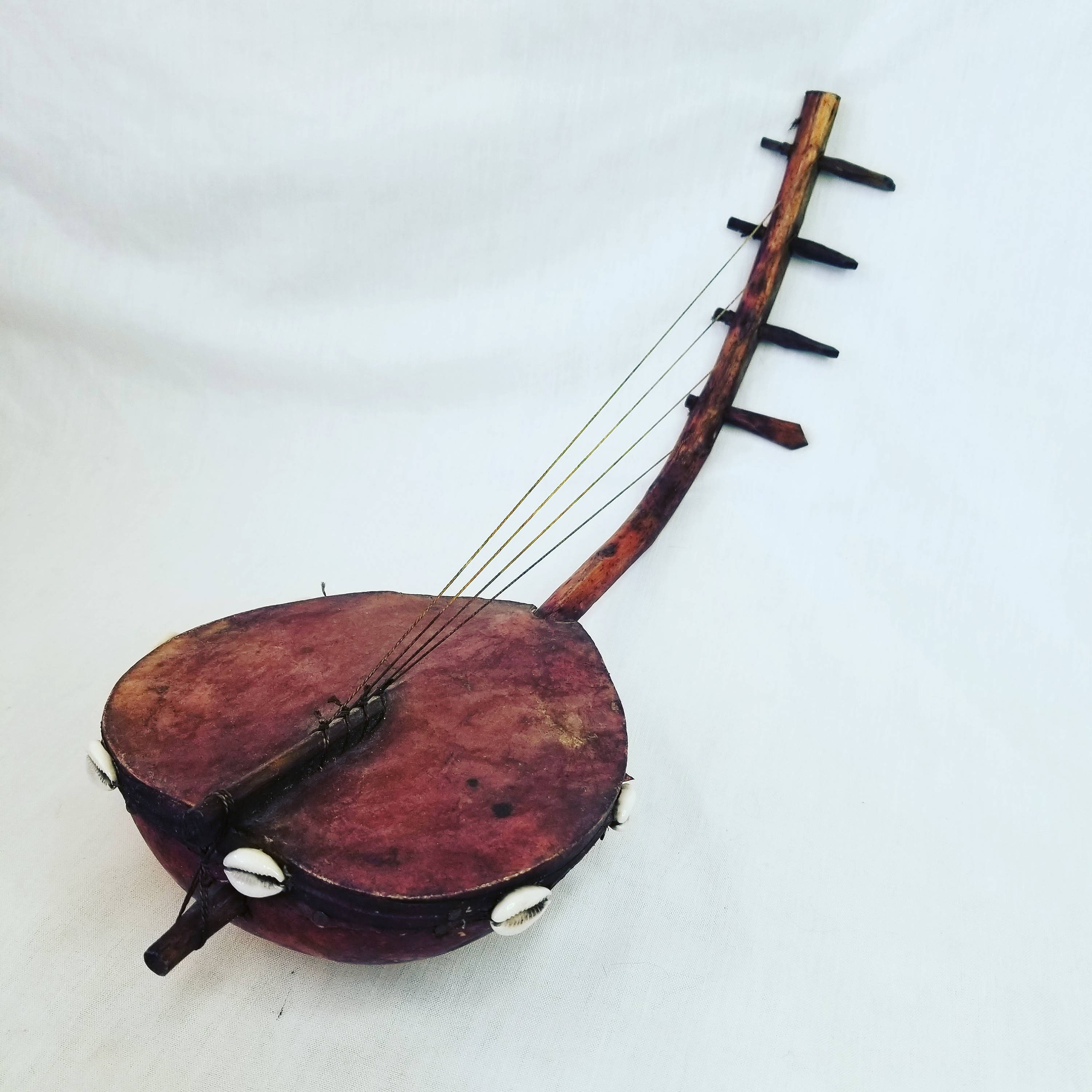 Stringed instrument pictures - rulesfery