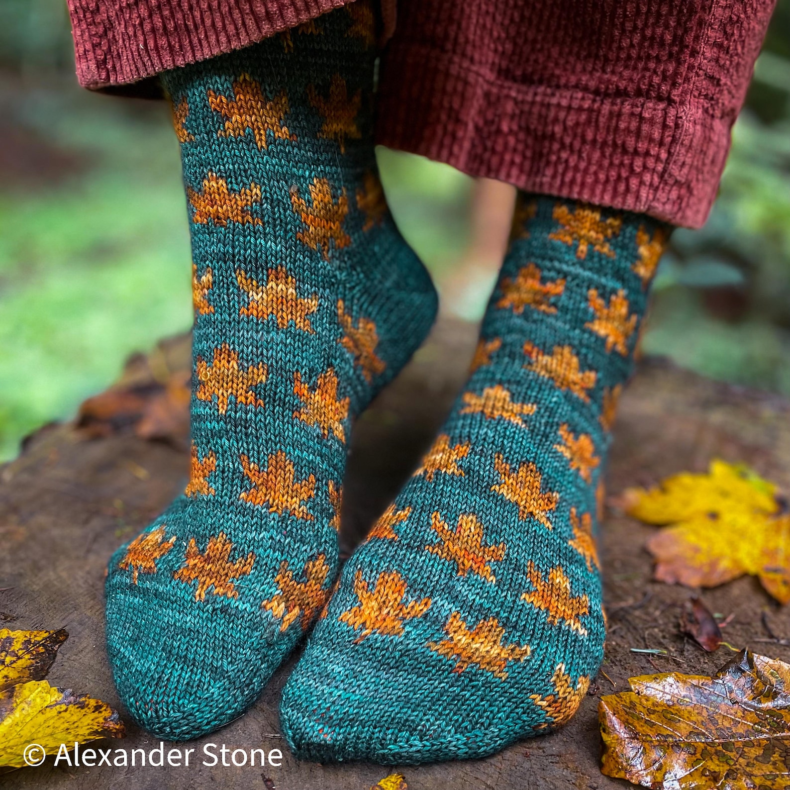Autumn Season Sock Set