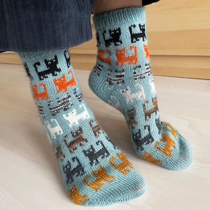 Könnte beinhalten: Ein Paar blaue Socken mit einem bunten Katzenmuster. Die Socken zeigen orange, schwarze, weiße und braune Katzen.