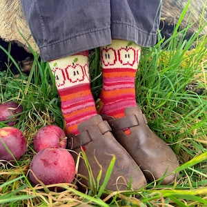 Op de afbeelding: Bruine leren klompen met gespriemen en sokken met appelthema. De sokken hebben een crèmekleurige achtergrond met rode appelontwerpen en kleurrijke strepen. Rode appels liggen verspreid in het gras.