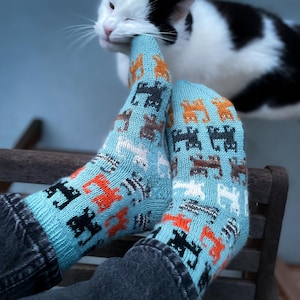 May include: A pair of blue socks with a cat pattern. The socks are knitted and have a variety of colors, including orange, brown, black, and white. The socks are being worn by a person, and a white cat is nuzzling the person's foot.