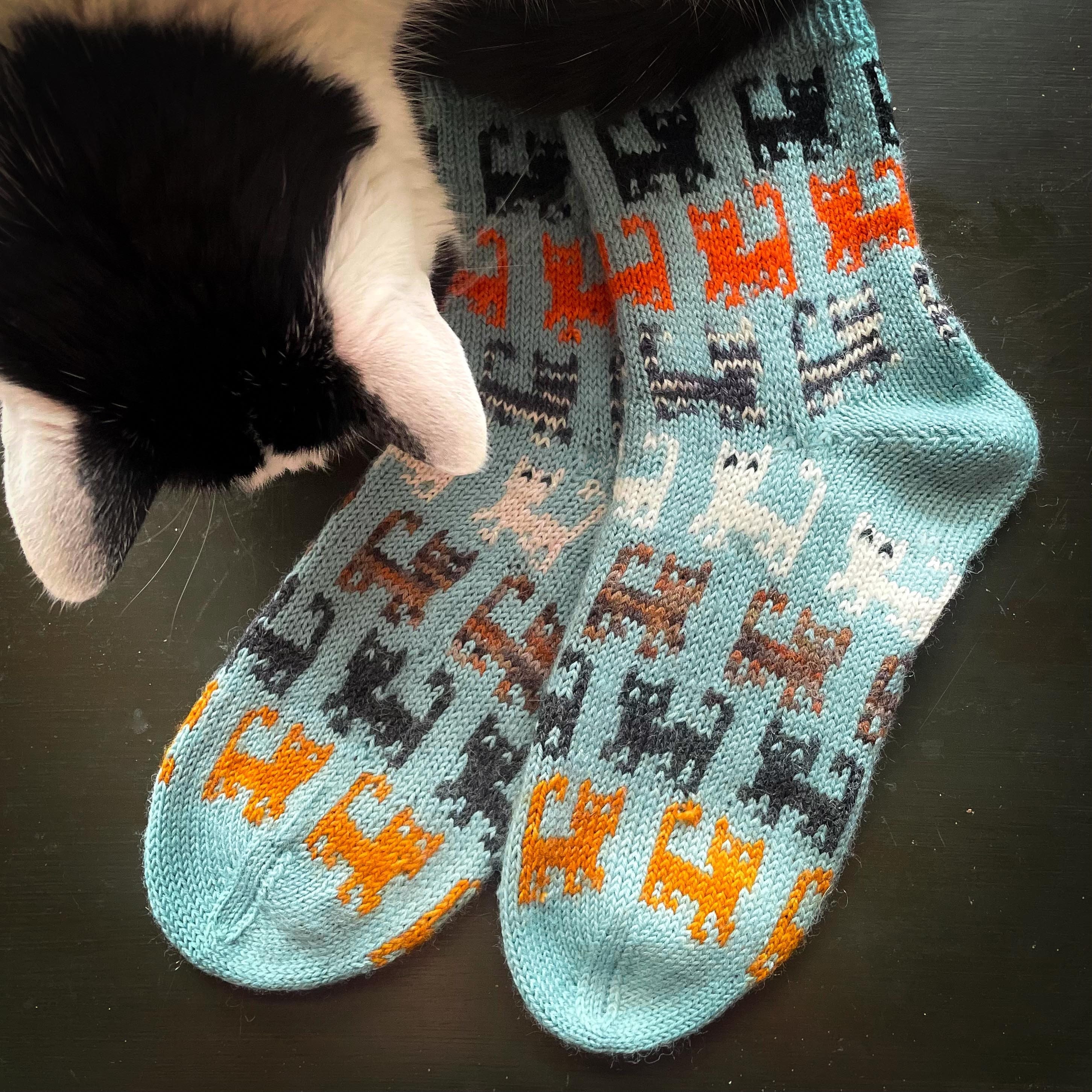 Sock Cat Sweater Etsy