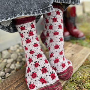 May include: A pair of knitted socks with a light gray background and a repeating pattern of red ladybugs. The socks have burgundy cuffs, heels, and toes. The socks are on a wooden surface.